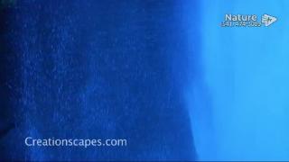 12:00am-1:00am (PST)