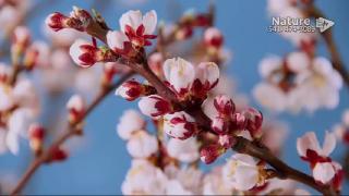 9:00am-10:00am (PST)