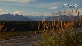 10:00am-11:00am (PST)