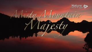 11:00am-12:00pm (PST)