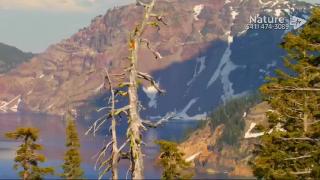 12:00pm-1:00pm (PST)