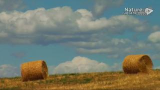 12:00am-1:00am (PST)