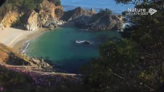 10:00am-11:00am (PDT)