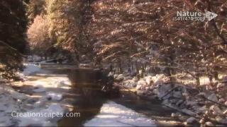 11:00am-12:00pm (PDT)