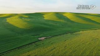 12:00pm-1:00pm (PDT)