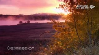 9:00pm-10:00pm (PDT)