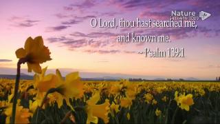 12:00am-1:00am (PDT)