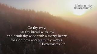 12:00am-1:00am (PDT)