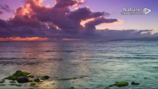 9:00am-10:00am (PDT)