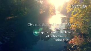 10:00am-11:00am (PDT)