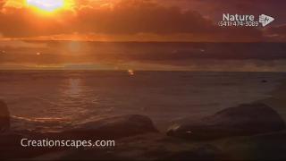 11:00am-12:00pm (PDT)