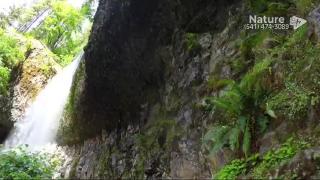 12:00pm-1:00pm (PDT)