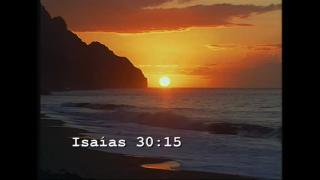 11:00am-12:00pm (PDT)